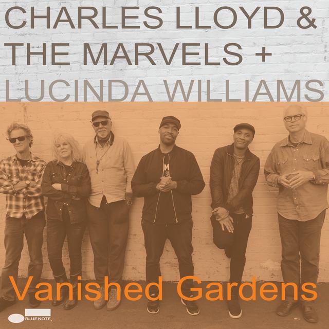 Album cover art for Vanished Gardens