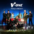Album cover art for Aventura