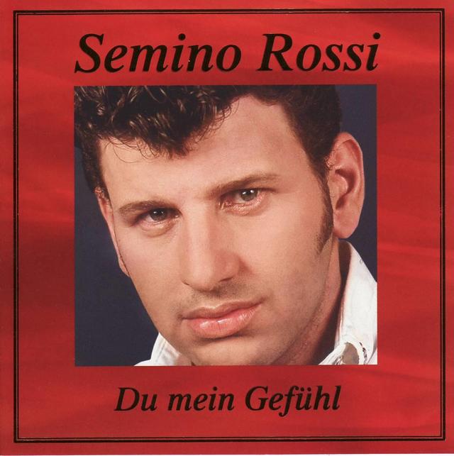 Album cover art for Du Mein Gefühl