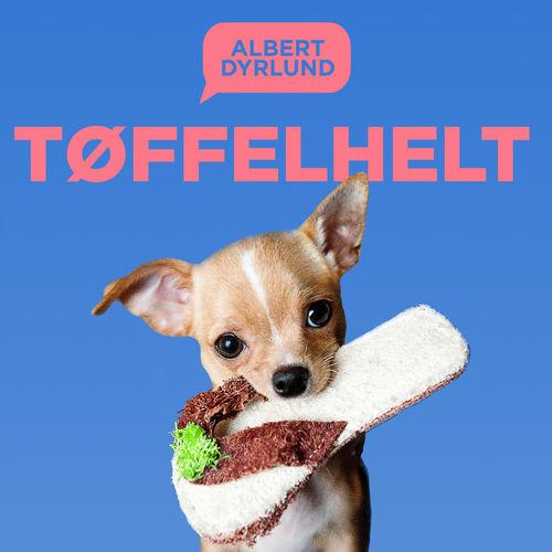 Album cover art for Tøffelhelt