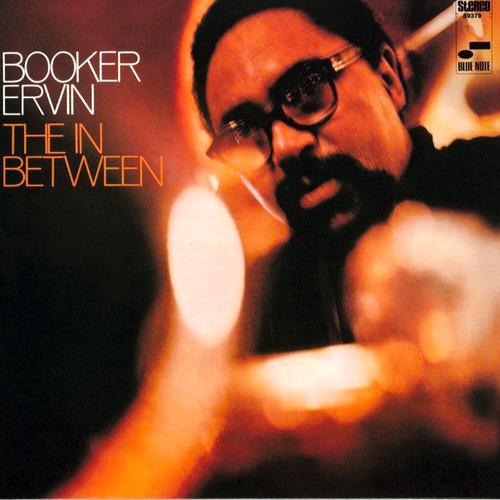 Album cover art for The In Between