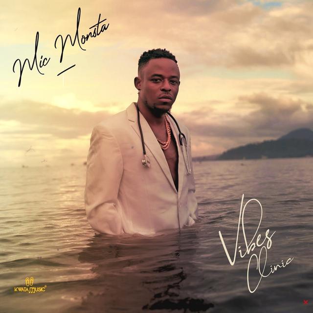 Album cover art for Vibes Clinic