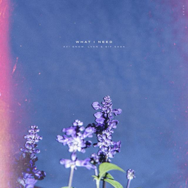 Album cover art for What I Need