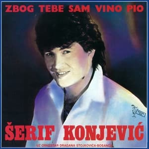 Album cover art for Zbog Tebe Sam Vino Pio