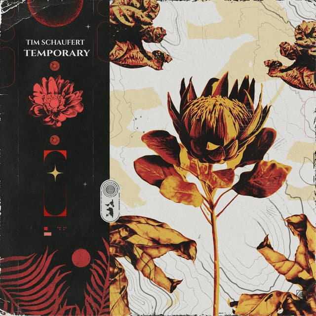 Album cover art for Temporary