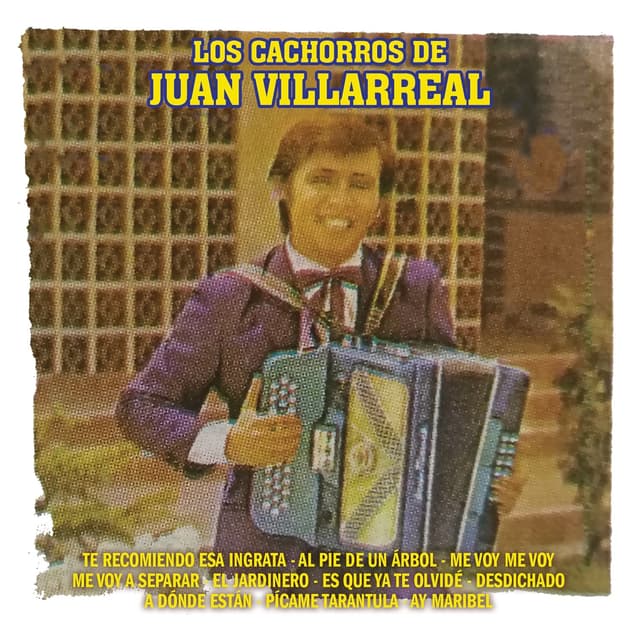 Album cover art for Te Recomiendo Esa Ingrata