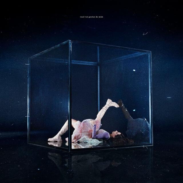 Album cover art for você vai gostar de mim