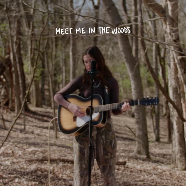 Album cover art for Meet Me in the Woods