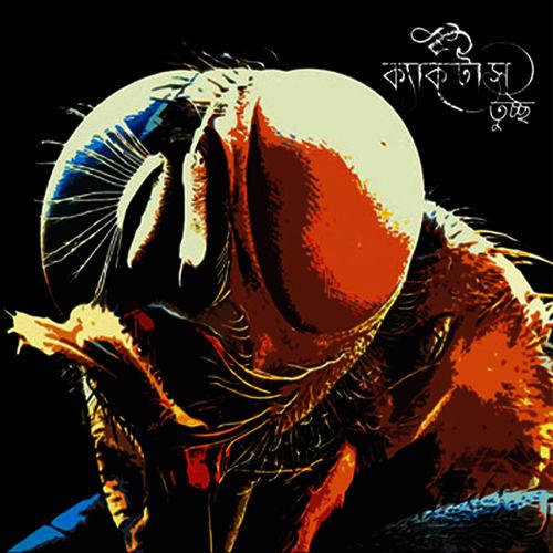 Album cover art for Tuchha