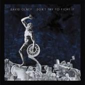 Album cover art for Don't Try To Fight It