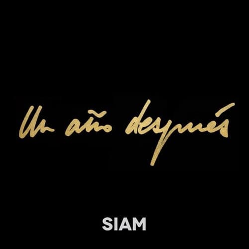 Album cover art for Un Año Después