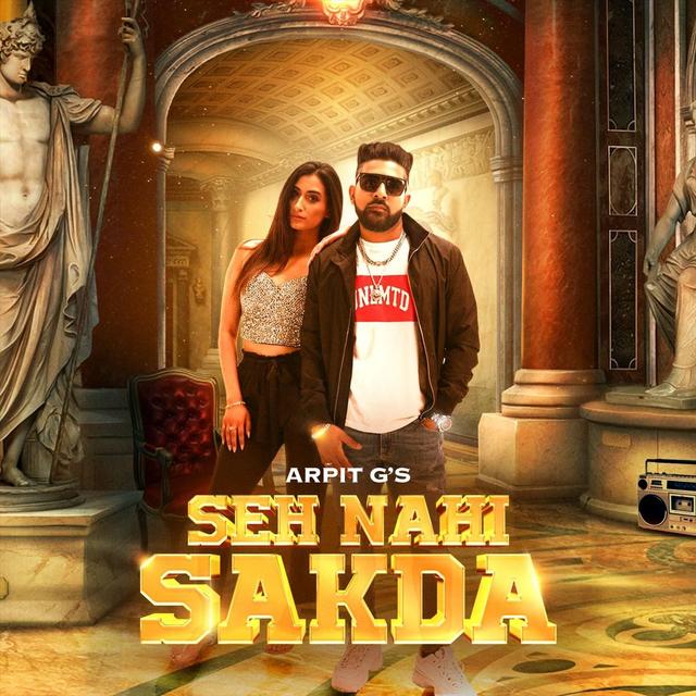 Album cover art for Seh Nahi Sakda