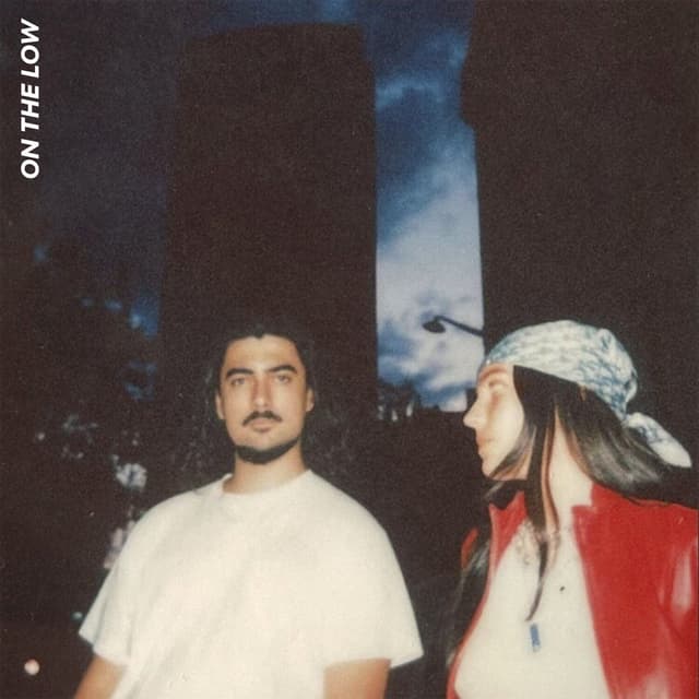 Album cover art for On The Low