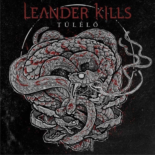 Album cover art for Túlélő