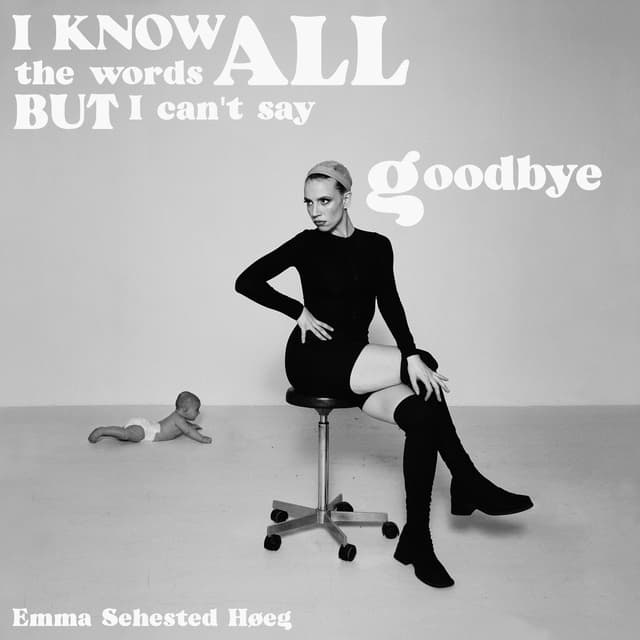 Album cover art for I Know All The Words But I Can't Say Goodbye