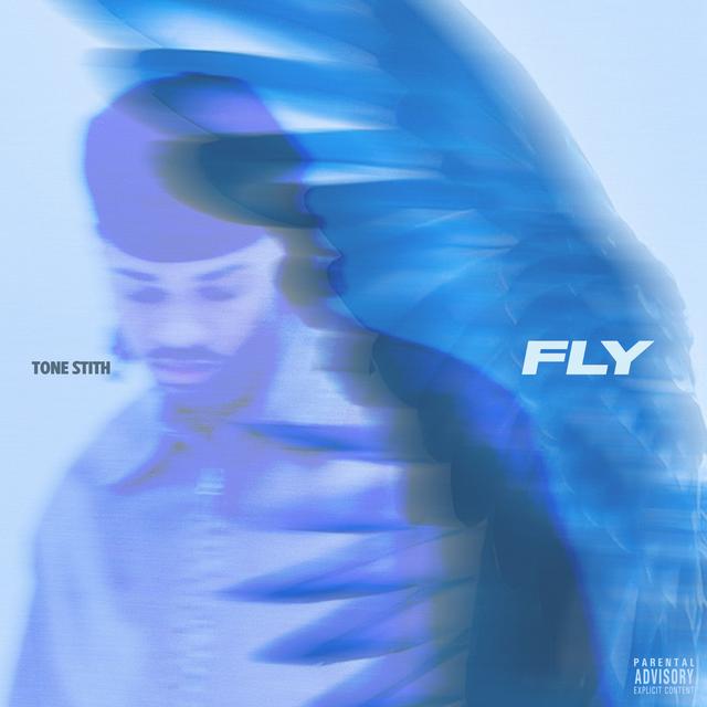 Album cover art for Fly - Single