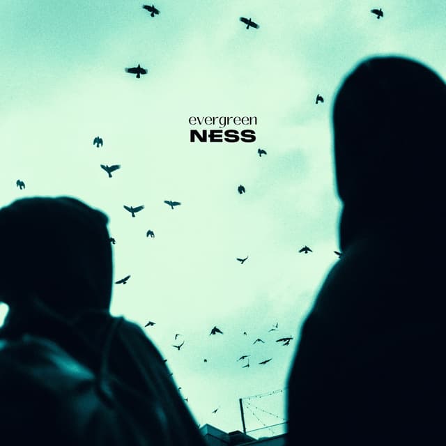 Album cover art for Evergreen