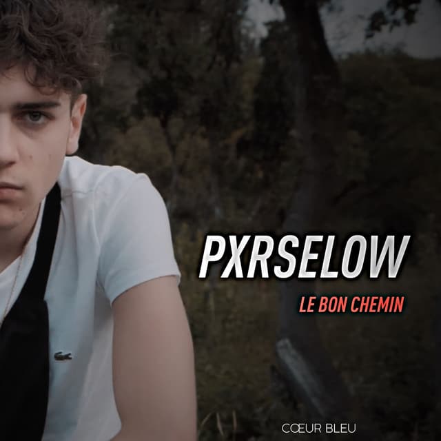 Album cover art for Le bon chemin