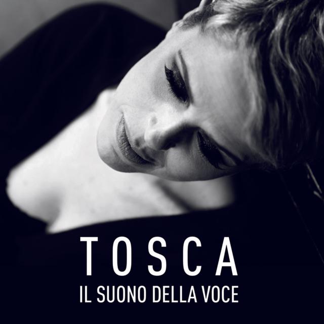 Album cover art for Il Suono Della Voce