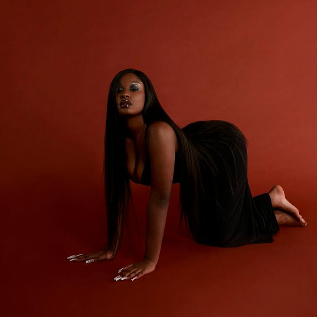 Album cover art for L'Amoroso