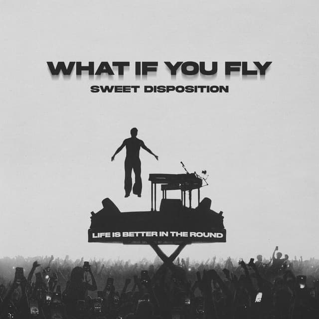 Album cover art for What If You Fly (Sweet Disposition)