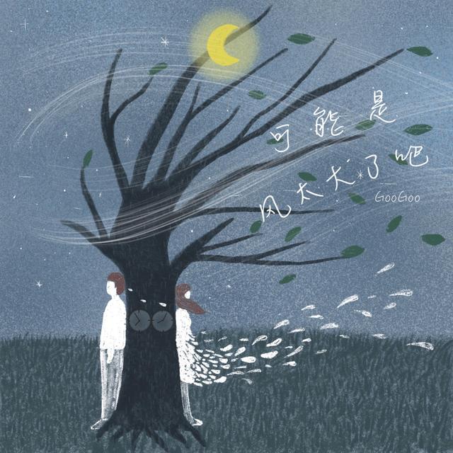 Album cover art for 可能是风太大了吧