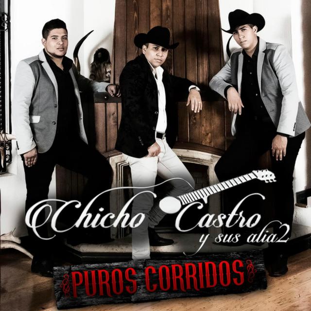 Album cover art for Puros Corridos