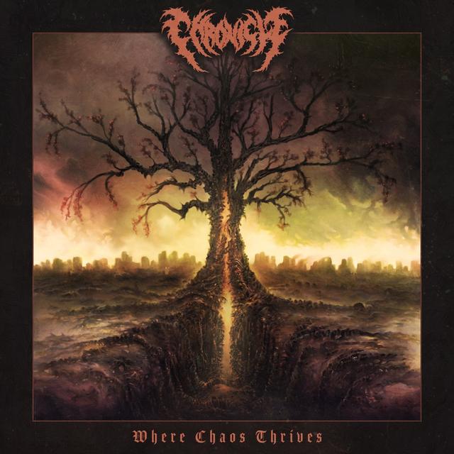 Album cover art for Where Chaos Thrives