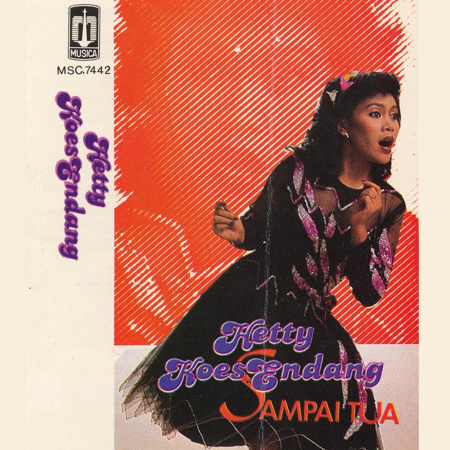 Sampai Tua
