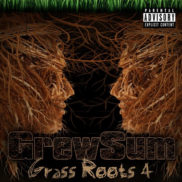 Album cover art for Grass Roots 4