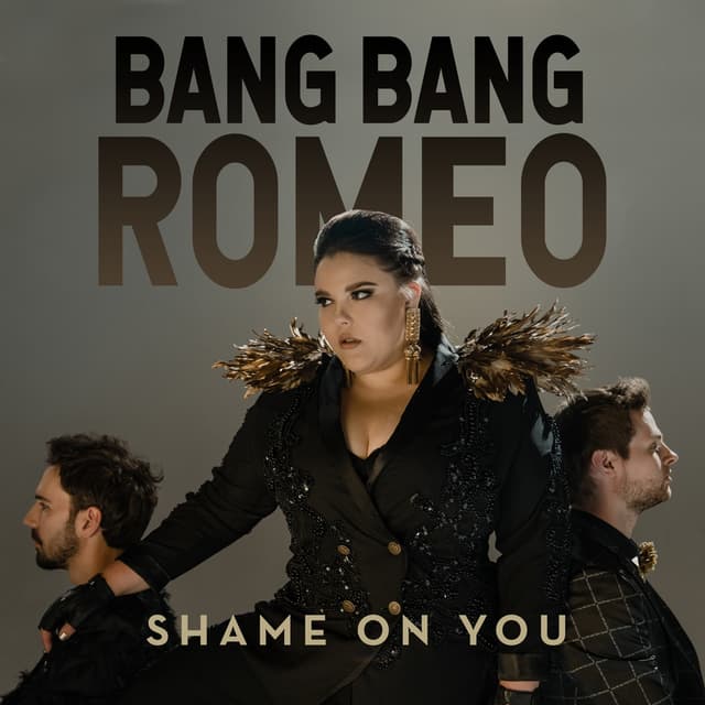 Album cover art for Shame On You