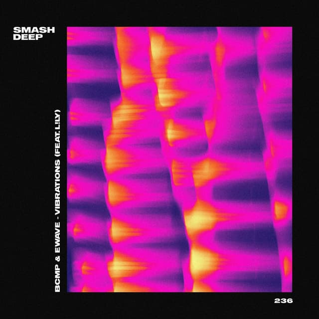 Album cover art for Vibrations (feat. L!LY)