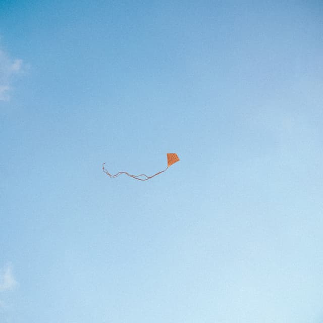 Album cover art for Lost, Found & Forgotten...