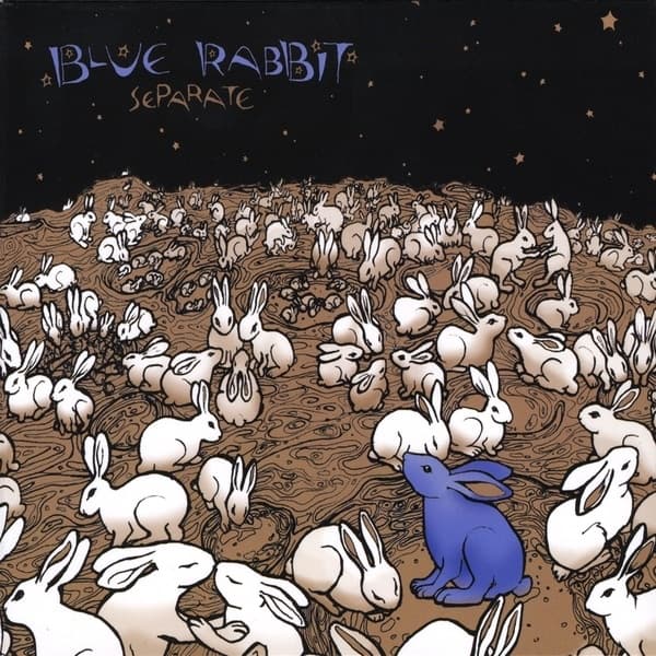 Album cover art for Separate