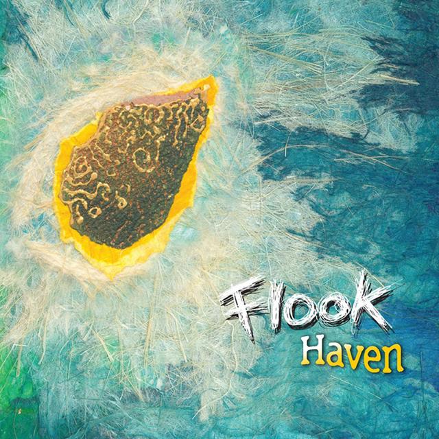 Album cover art for Haven