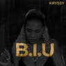 B.I.U