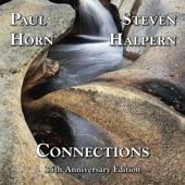 Album cover art for Connections