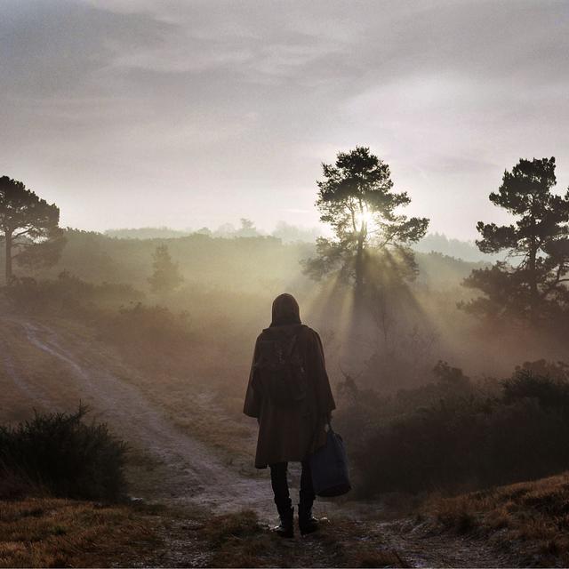 Album cover art for A New Nature