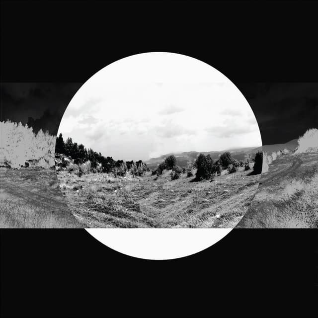 Album cover art for 11