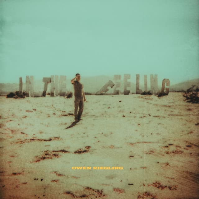 Album cover art for In the Feeling