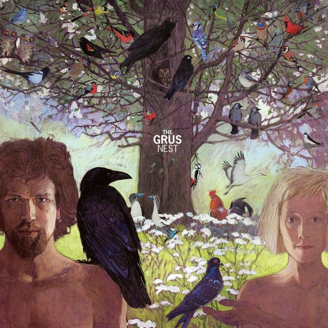Album cover art for Nest