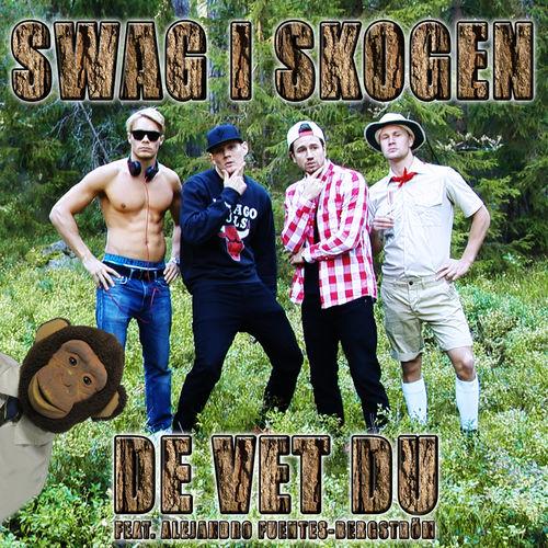 Album cover art for Swag I Skogen