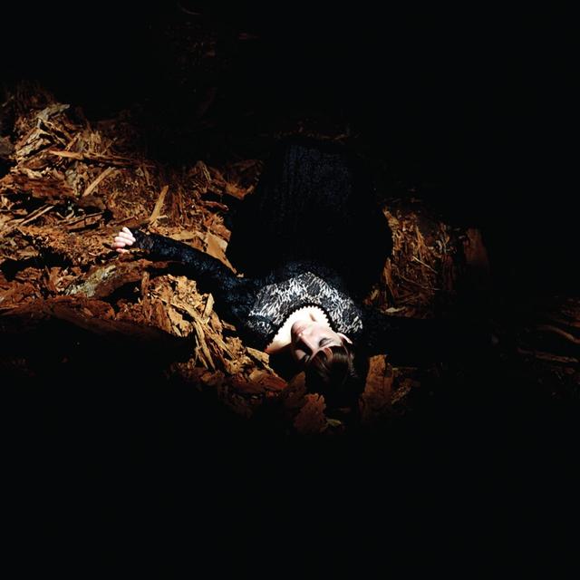 Album cover art for Victorian America