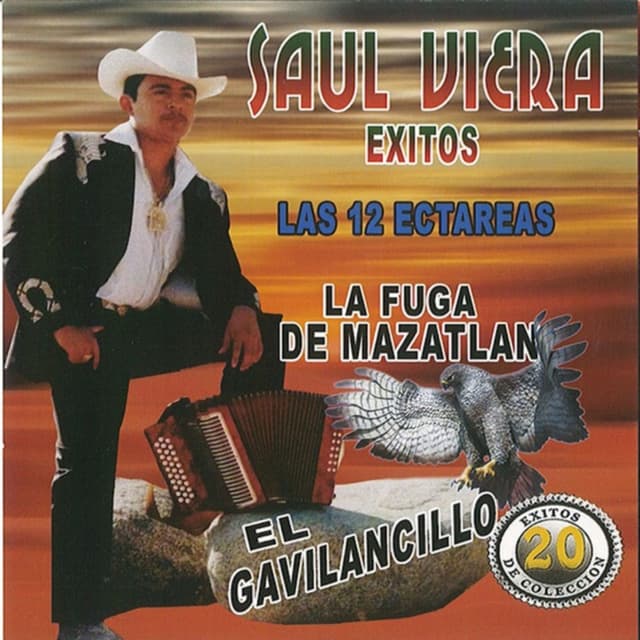 Album cover art for 20 Éxitos de Colección las 12 Ectareas