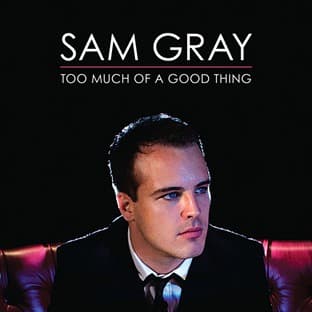Album cover art for Too Much Of A Good Thing