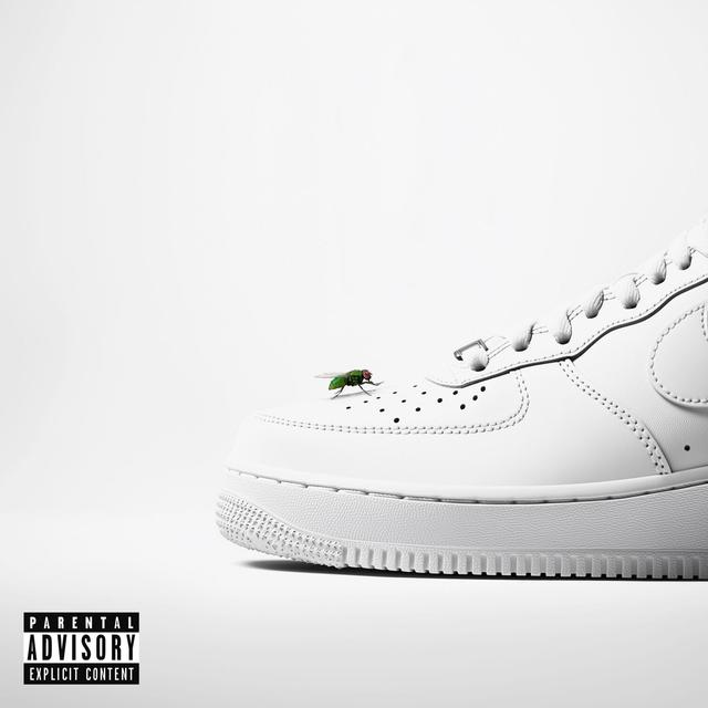 Album cover art for FLY