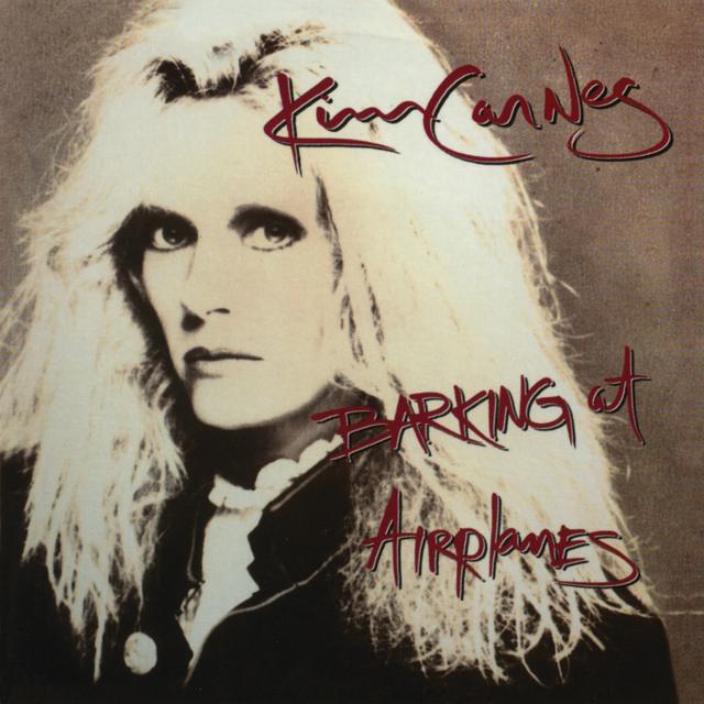 Album cover art for Barking At Airplanes