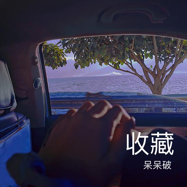 Album cover art for 收藏