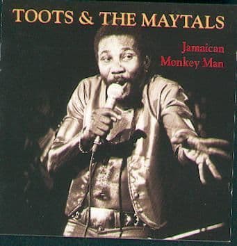 Album cover art for Jamaican Monkey Man