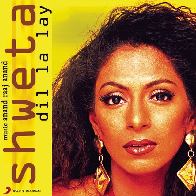 Album cover art for Dil La Ley